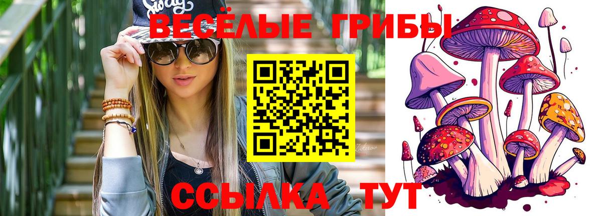 Кропоткин  Галлюциногенные грибы мицелий  Псилоцибиновые грибы Psilocybe  Вход с VPN 