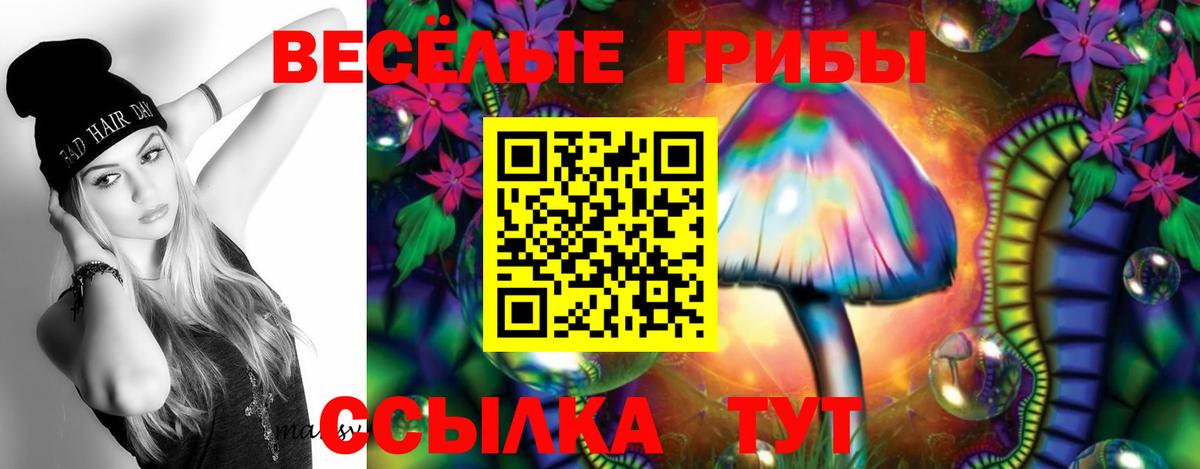 Псилоцибиновые грибы MAGIC MUSHROOMS Кропоткин